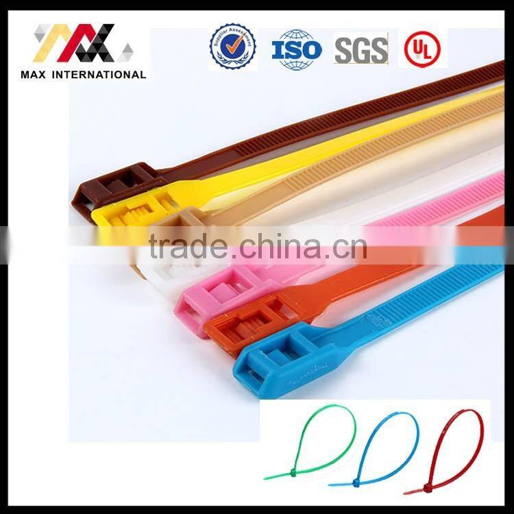 Color Nylon 66 Cable Tie with Label