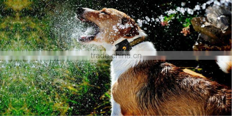 small gps transmitter gps signal transmitter