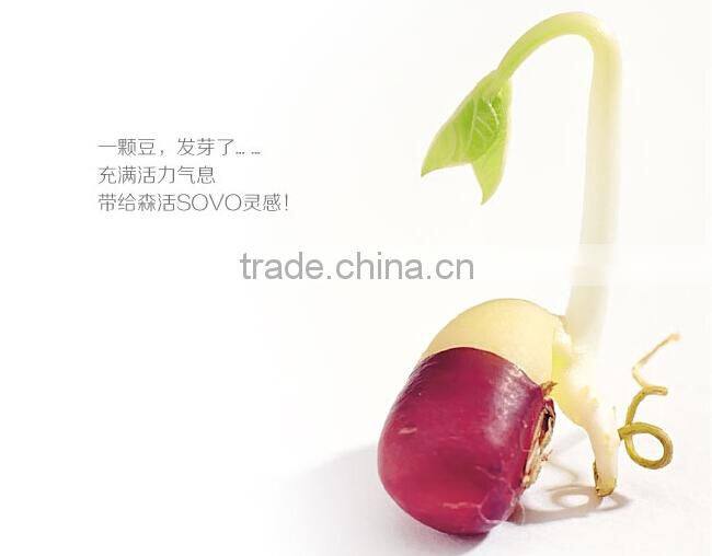 Creative Sprouting Bean Shape Desktop Stationery Holder