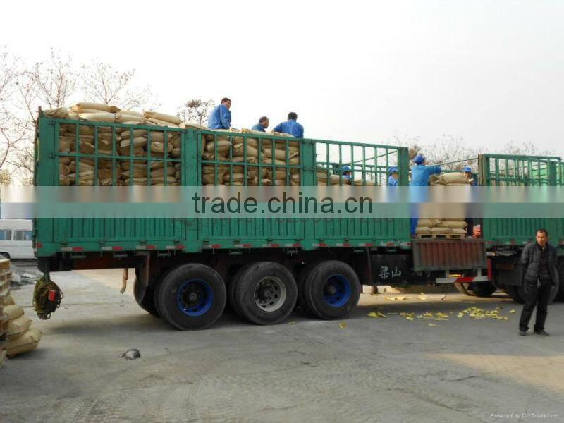 Xingyue Water Treatment APAM Anionic Polyacrylamide