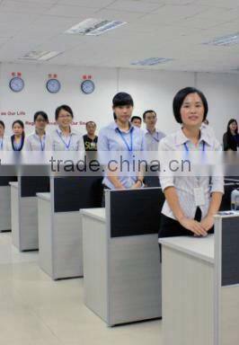 Mini Car Rear View CCTV IR Camera china security