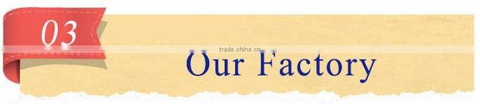 New Magic, Electric, Cordless Mop in 2016! Best Selling, Spin head 360, Cleaning Mop!