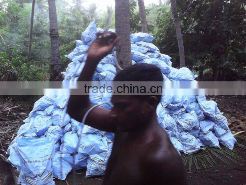 fresh coconuts from kerala