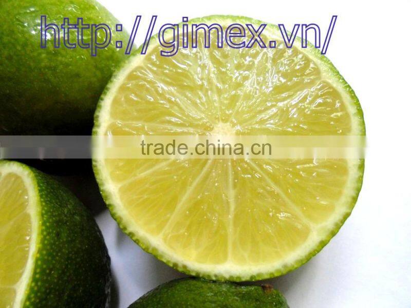 fresh lemon high quality seedless Gimex 2015