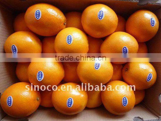 Buy Navel Oranges