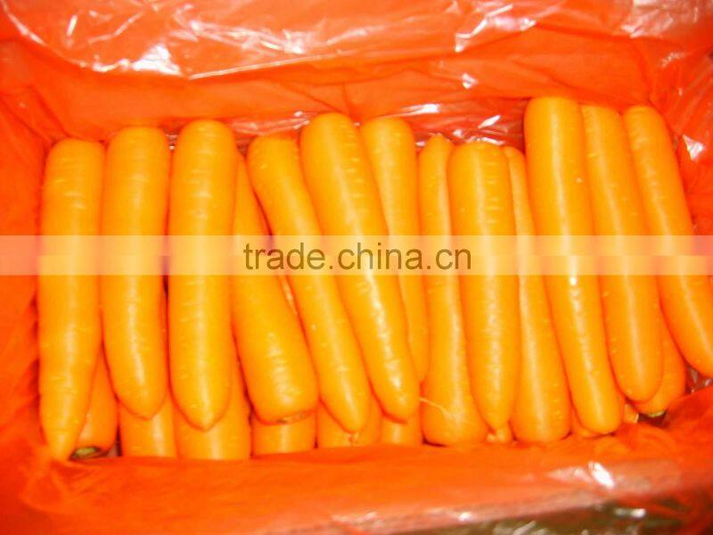 2014 new crop bulk carrot with best price