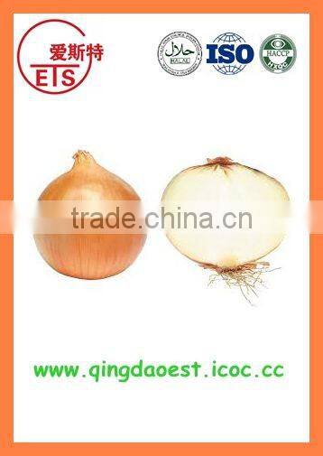 BUlk 2016 new crop Fresh yellow onion