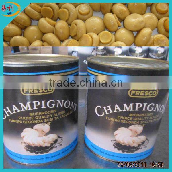 Zhangzhou canned mushroom