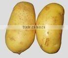 fresh potatos