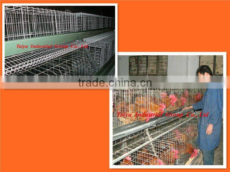 TAIYU Poultry cages for chicken farm (Nigerian /Lagos office,For birds in sales)