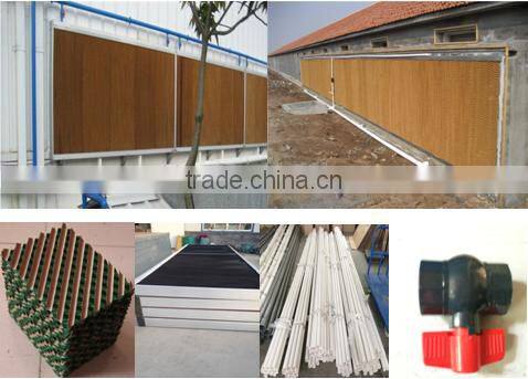 automatic broiler breeding system