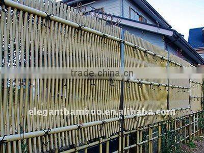 bamboo backyard fence