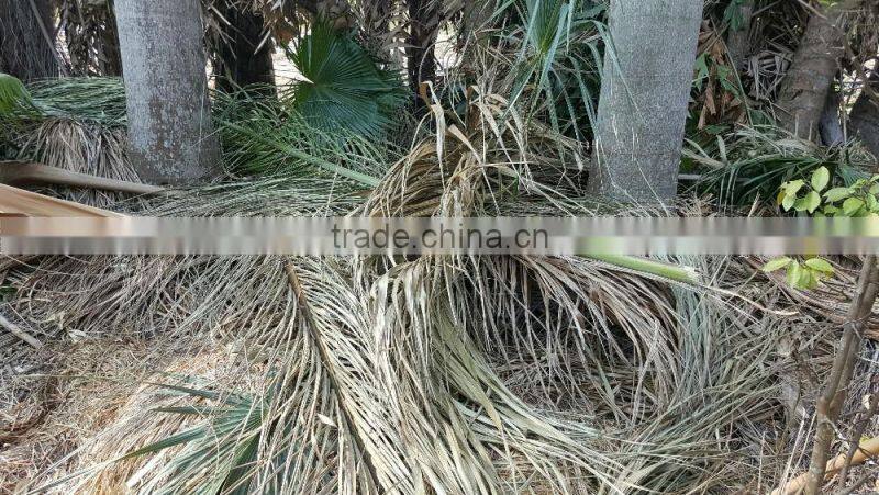 Palm Leaf Chipper Shredder