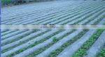 blow molding agriculture film