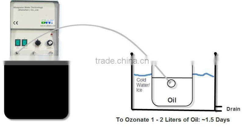 1g smart home air purifier portable car ionizer air purifier 220v air ozone generator machine