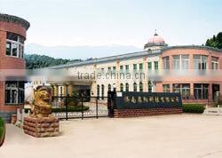 Fully Automatic New Stainless Steel Macaroni Production Line/pasta manufacturing With High Quality