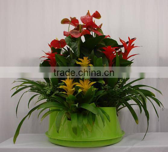 Wholesale Green Color Home Decor Table Flower Planter