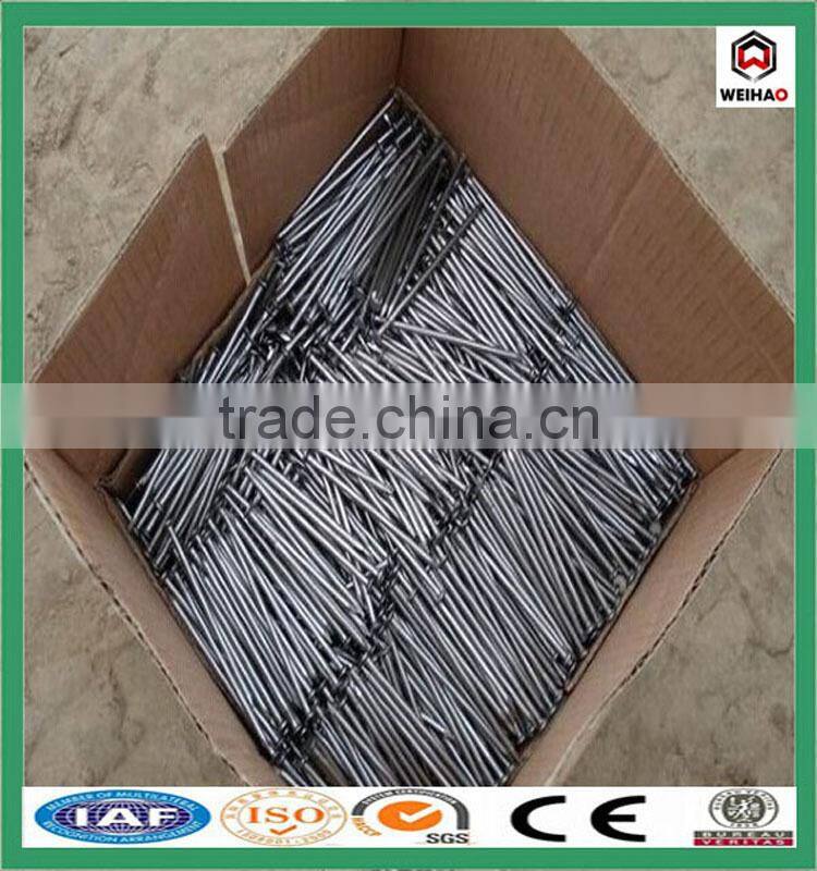 anping weihao 12.7 / 19 / 25.4 mm common iron wire nail