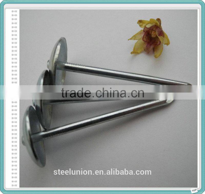 Twisted and plain shank roofing nails/linyi nails