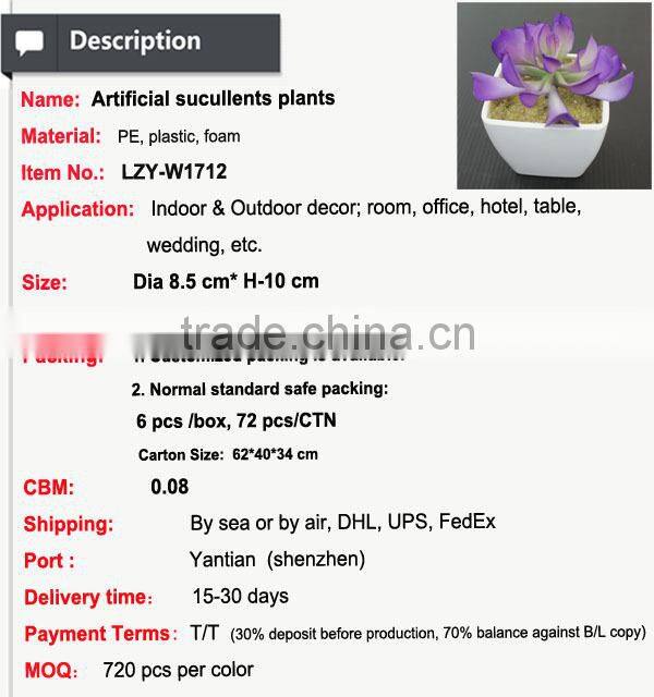 Mini potted succulents plants factory selling mini artificial succulents