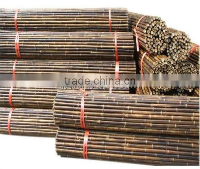 Black tonkin bamboo cane/pole