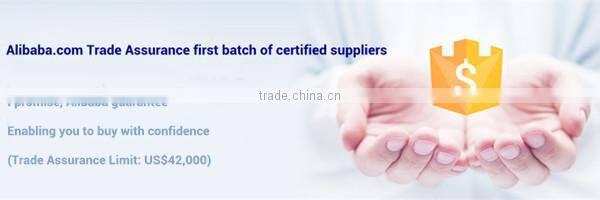 party decorate kids Angel wings