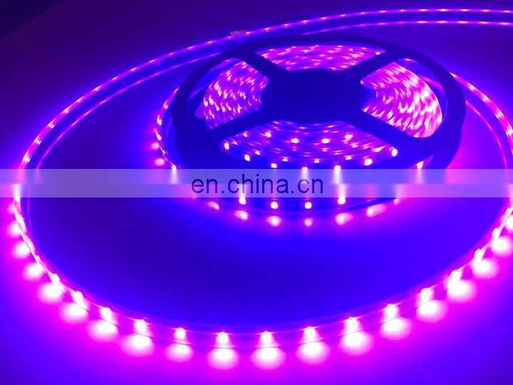 shenzhen high quality 5050 led flexible strip epistar 400nm uv led strip 5m/roll with 3 years warranty