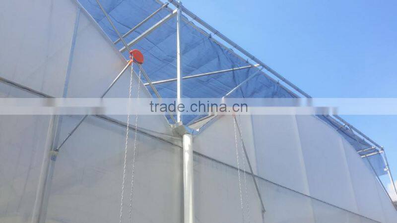 8M Span Width Agricultural Film Greenhouses