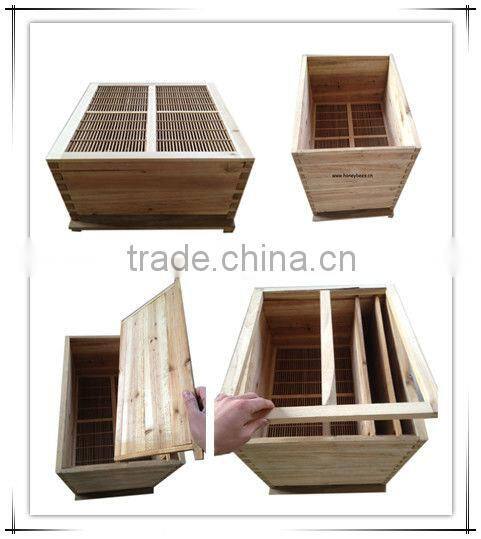 bee hive for beekeeping