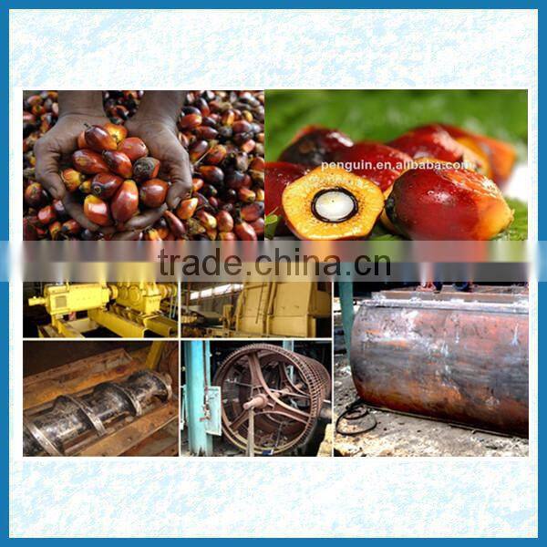 Automatic palm fresh fruit oil pressing machine,palm oil processing line
