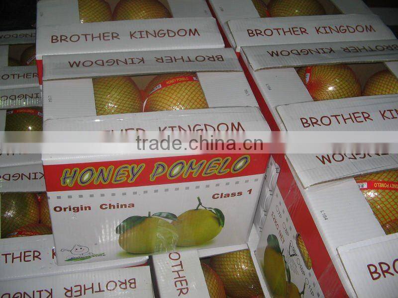 Pomelo,Fresh Pomelo,Honey Pomelo