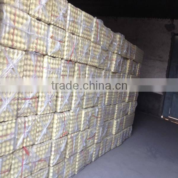 Good quality egg tray machine with reasonable price