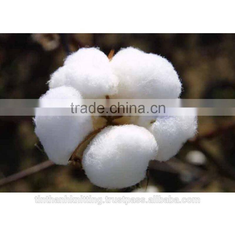 95% Cotton -5% Spandex Single Knitted Fabric - Rose