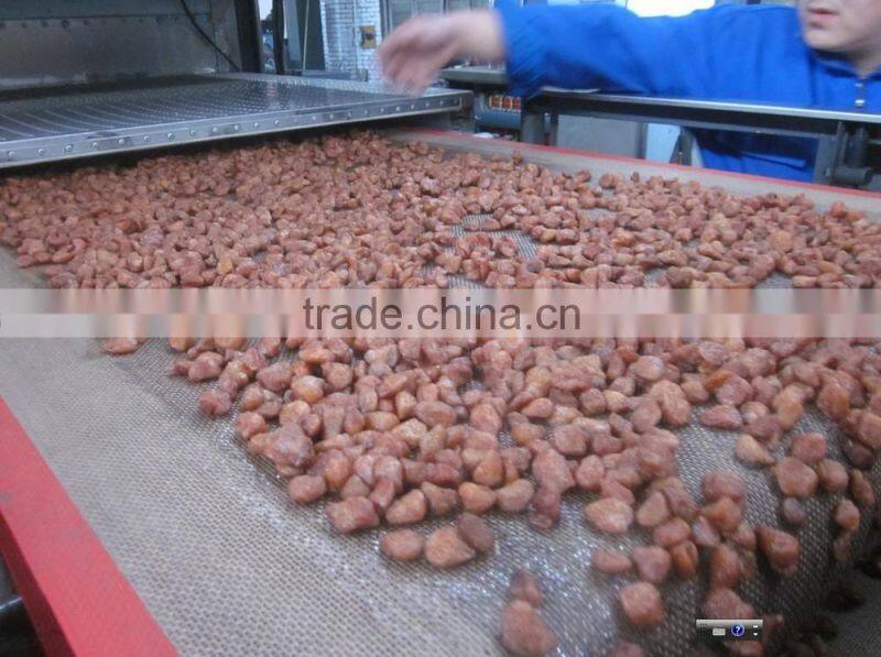 tunnel type industrial micrwave red chili drying sterilizing machine/sterlizer