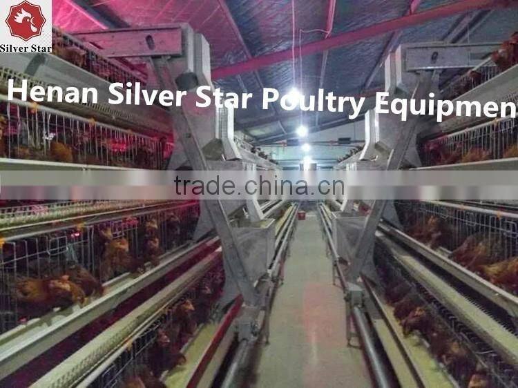 wire mesh bird cage for laying hens