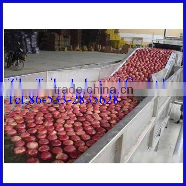 Fruit processing machinery apple washing machine