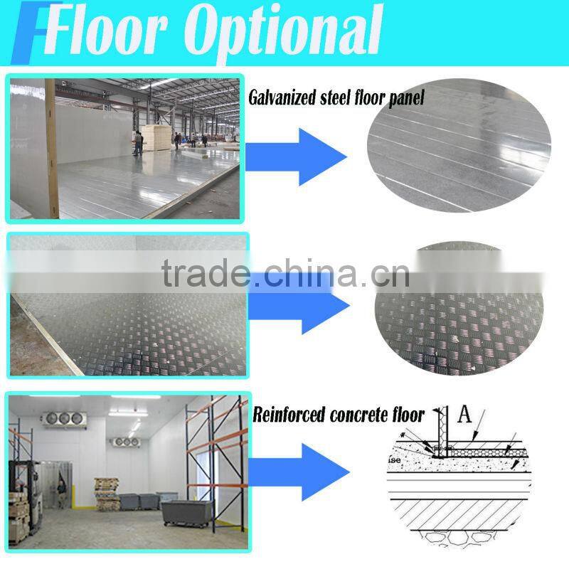meat storage cold room (20m3 capacity)