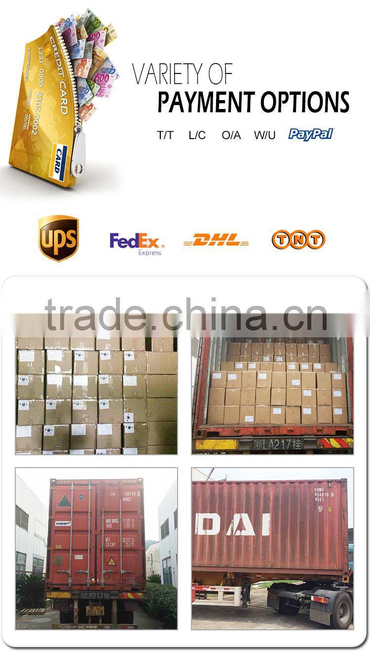 Double ABS High Power Special camping lamp with 4 LED