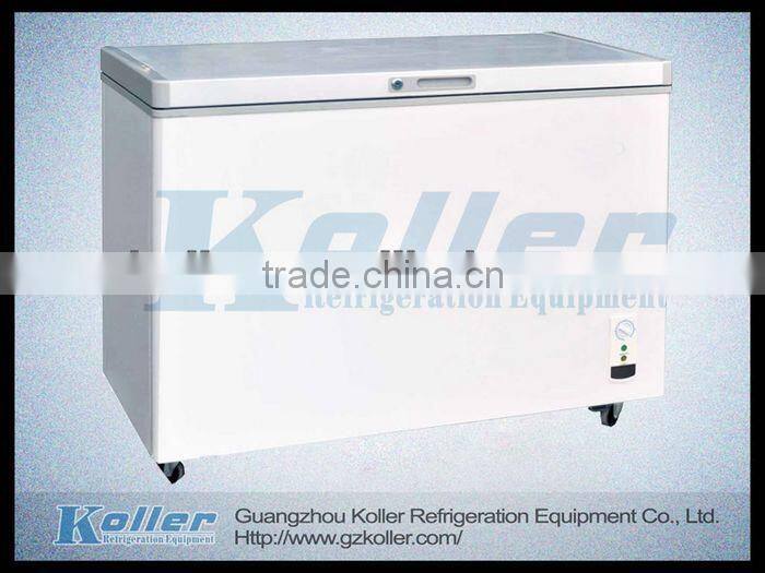 300L Solid Door Chest Freezer BD-300