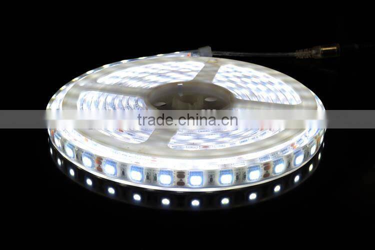 DC12V 24V SMD 5050 60leds/m IP66 Waterproof swimming pool led strip lighting