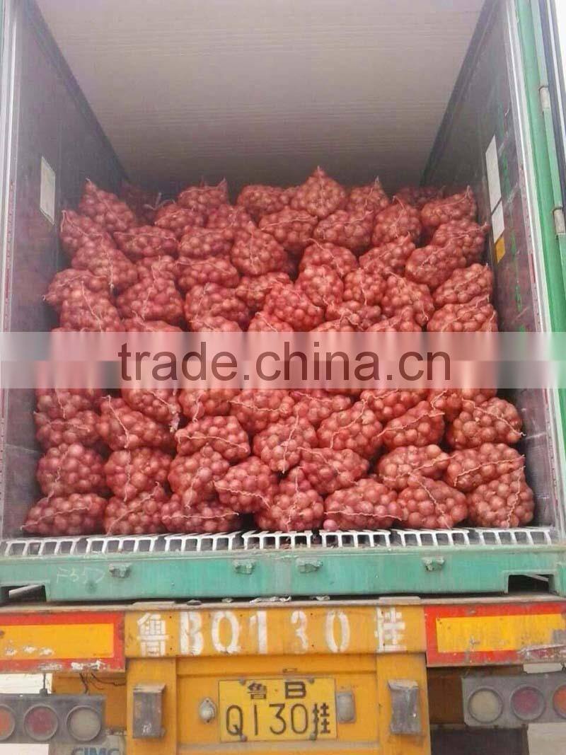 Sweet onion price 1 kg from Chinese onion exporter