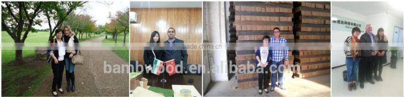 Clip fastener/Plastic Mounting Clip For Outdoor Wpc Decking