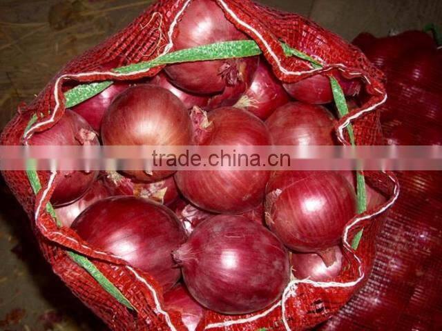 Red Onion ( Fresh ) Available throughout the Year