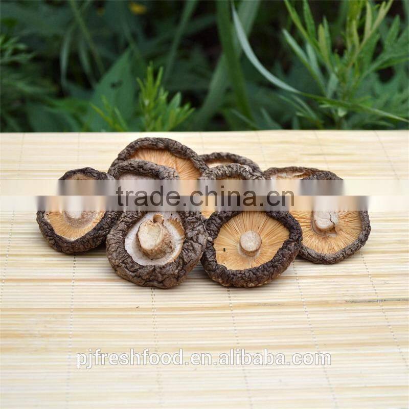Shiitake Mushroom
