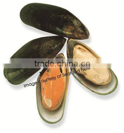 New Zealand Omega Greenshell Mussels