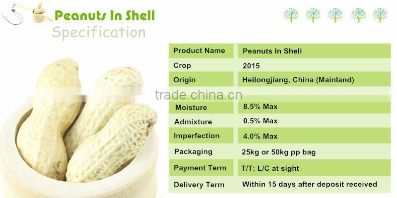 Peanuts In Shell 11/13 Size