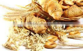 Hot Breezes Revolve Oven Industrial Convection Ovens Italian bakery machine