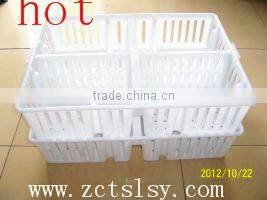 plastic transporting /easy move chicks box /basket for poultry