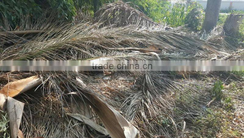 Palm Leaf Chipper Shredder