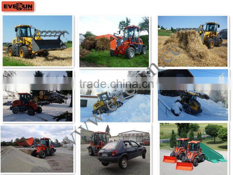 Everun CE Certificated 1.0ton Articulated Mini Shovel Loader